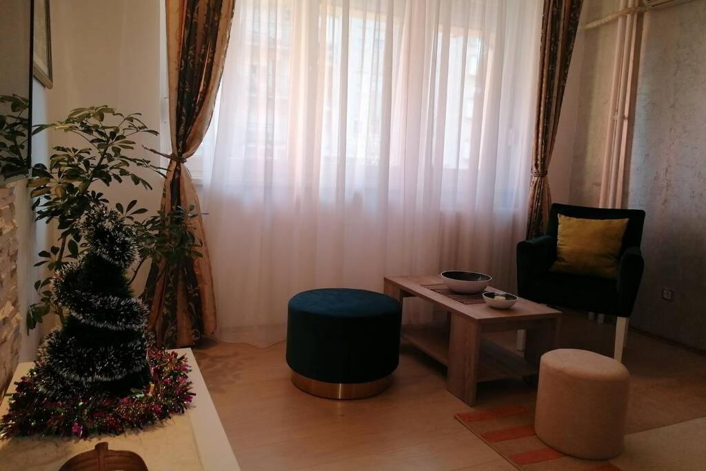 Oasis felix apartment Belgrád Kültér fotó