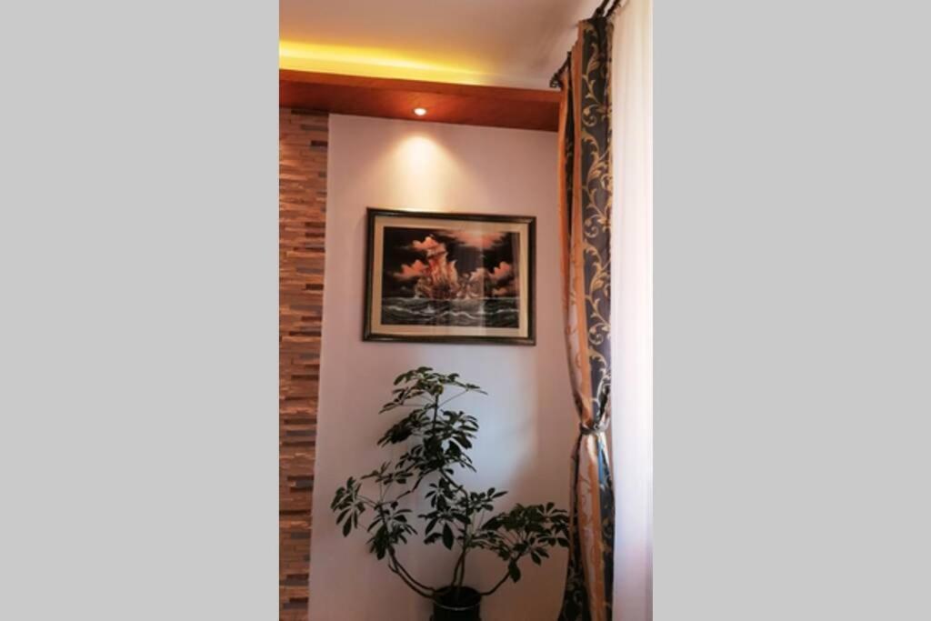 Oasis felix apartment Belgrád Kültér fotó