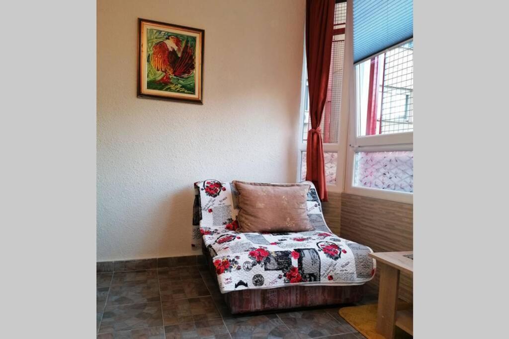 Oasis felix apartment Belgrád Kültér fotó