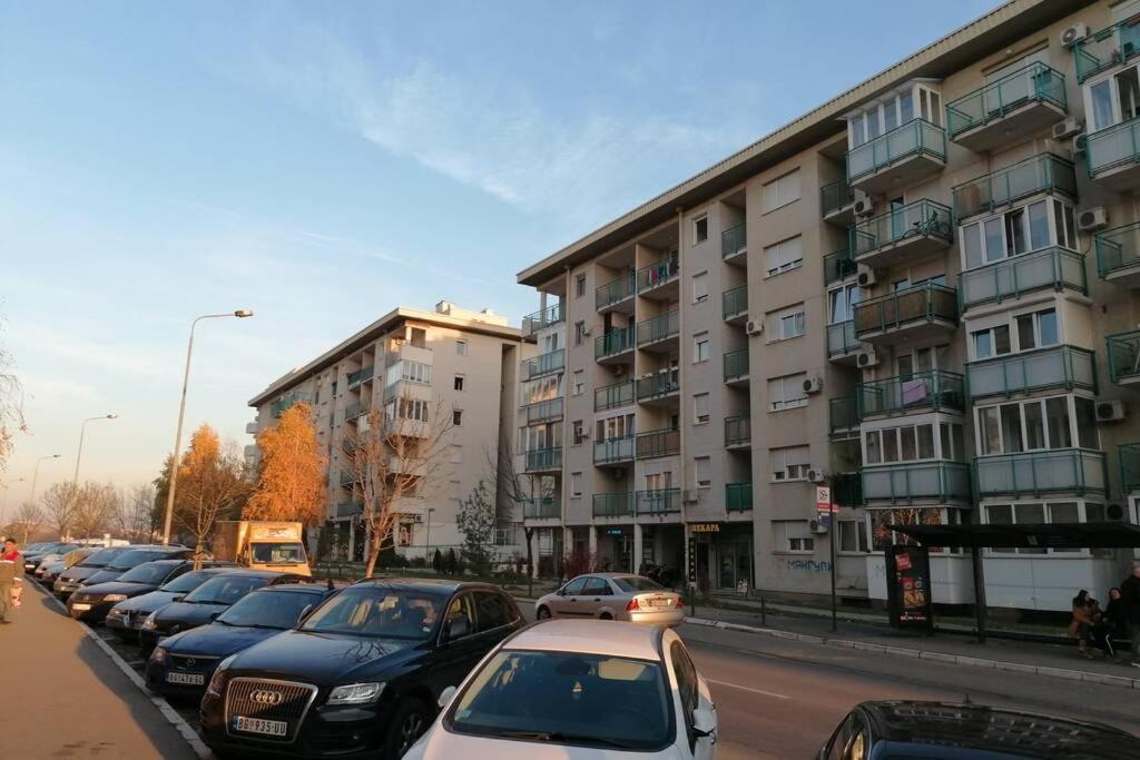 Oasis felix apartment Belgrád Kültér fotó