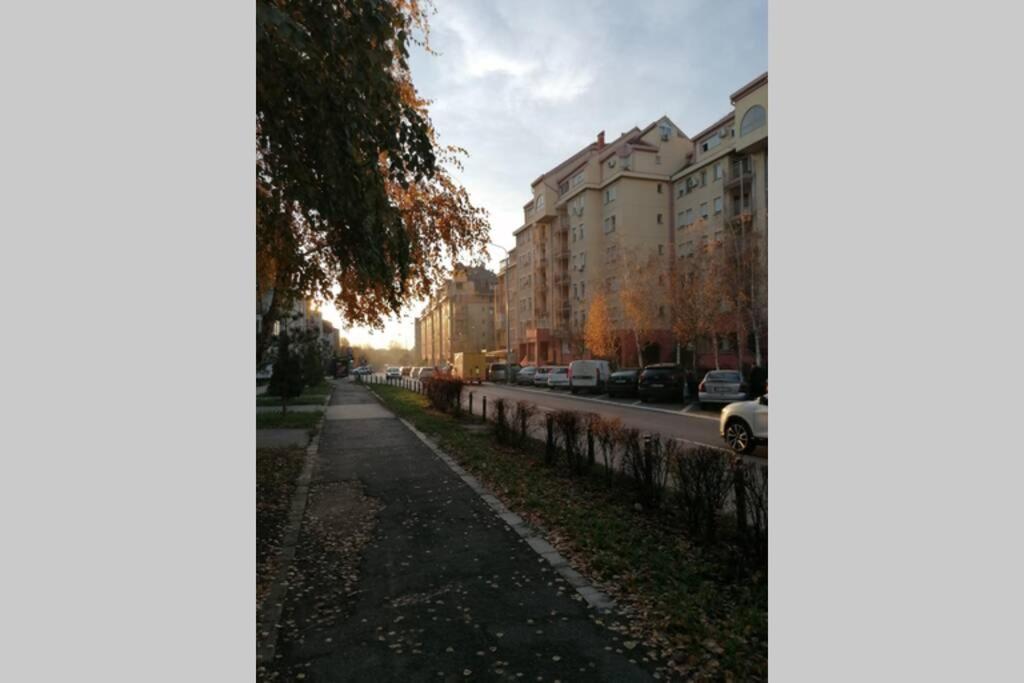 Oasis felix apartment Belgrád Kültér fotó